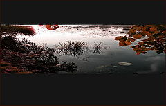 photo "Fragment"