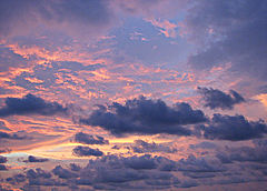 photo "***"