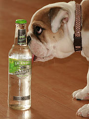 photo "Thirst quencher"