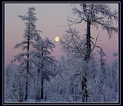 photo "***"