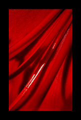 photo "red"