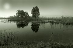 photo "Guten morgen"