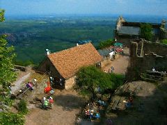 фото "Picassos last pic"