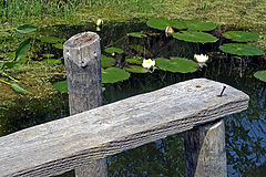 photo "***"