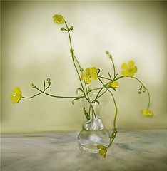 photo "***"