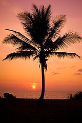фото "Golden Sunset"