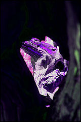фото "Torment"