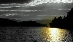 фото "On Golden Pond"