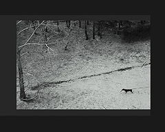 photo "Waiting"