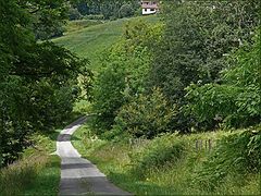 photo "Let us walk in the greenery"