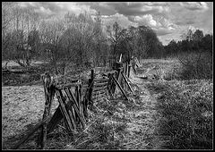 photo "Black-and-white with a fence"