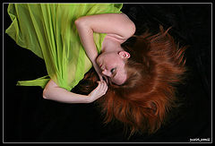 фото "Рыжий сон"