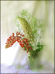 photo "***"