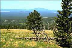 фото "Arizona Landscape"