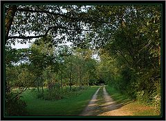 фото "Country Road"