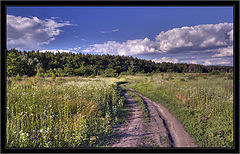 фото "просёлок"
