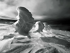 фото "Winter Portraits (W/B)"