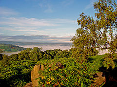 фото "A view fro the top"