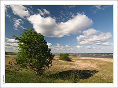 photo "Wind..."