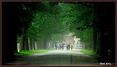 фото "rainy day in Belgium"