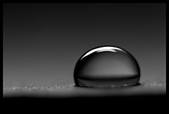 фото "... one tear ..."