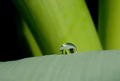 photo "***"