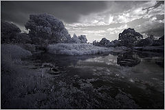 photo "***"