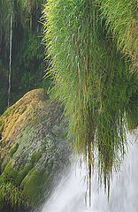 photo "Near waterfall"