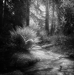 photo "***"