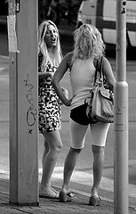 photo "Small Talk"