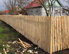 photo "The new fence"