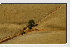 фото "Our mother Earth"