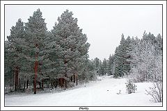 фото "***"