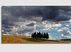 фото "Before the storm..."