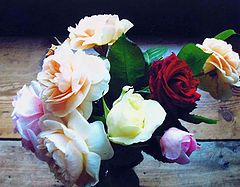 photo "Happy Birthday Alisa. 5th July."