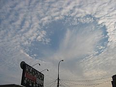 фото "Чудо природы"