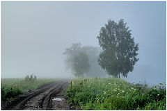 фото "Июльский туман"