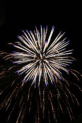 photo "4th of July celebrations"