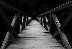 photo "..."