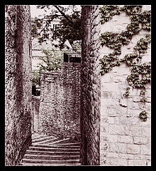 photo "old footsteps"