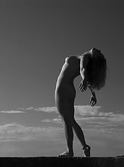 фото "Fly Away"