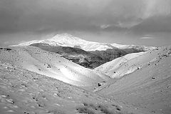 фото "B/W"