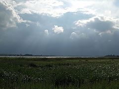 фото "Перед грозой"