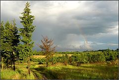 Фотоальбом "Времена года"