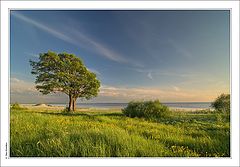 photo "Chudskoe..."