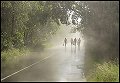 photo "Summer rain"