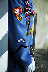 photo "protect"