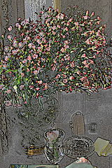 photo "***"