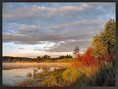 photo "***"
