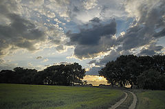 photo "***"